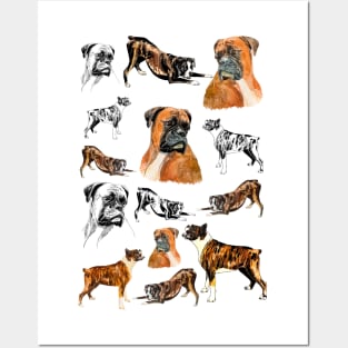 boxer dog Posters and Art